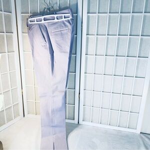 Anthropologie Men's Lavender Chinos